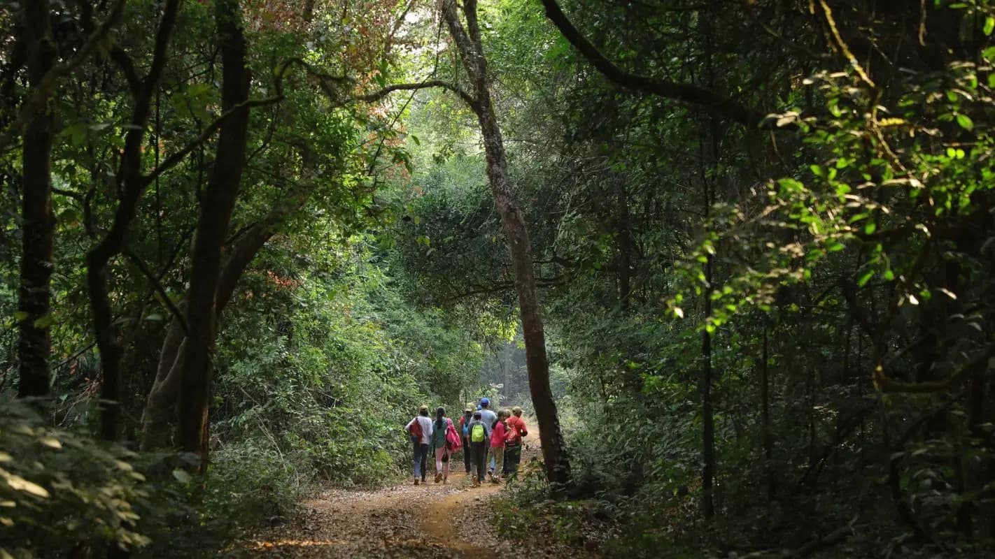 Amboli Nature & Birdwatching Trail